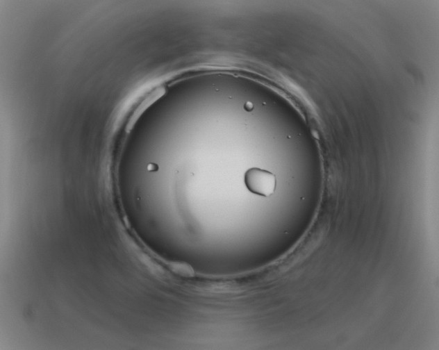 X0000115641464200911101046