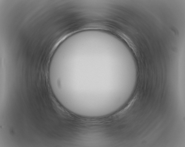 X0000115641465200911101046