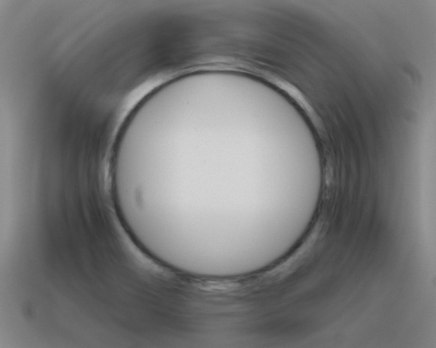 X0000115641466200911101046