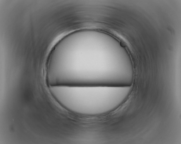 X0000115641467200911101046