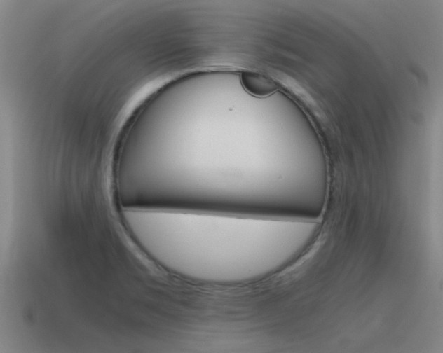X0000115641469200911101045