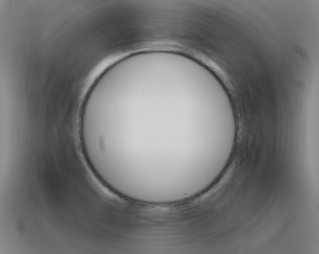X0000115641470200911101045