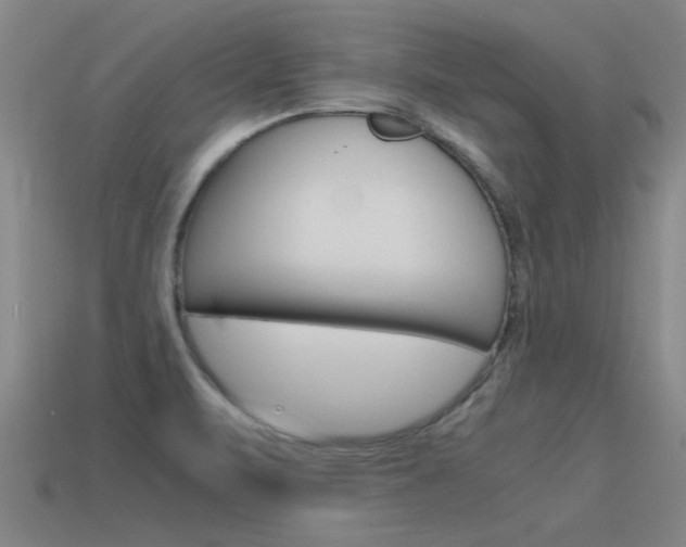X0000115641471200911101045