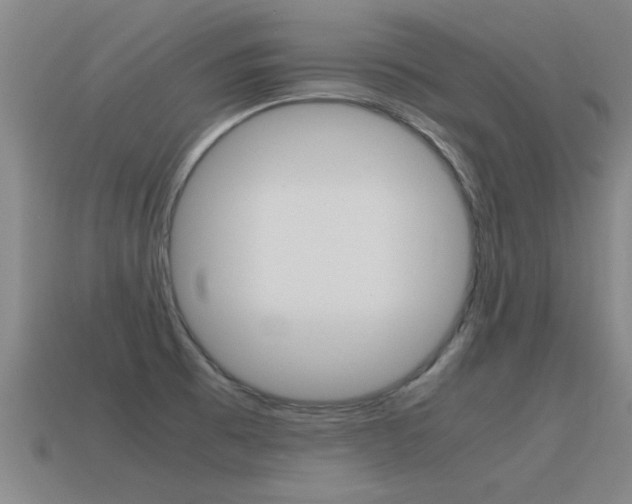X0000115641473200911101045