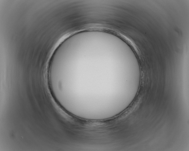 X0000115641475200911101045