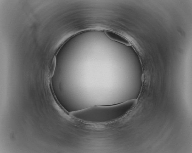 X0000115641476200911101045