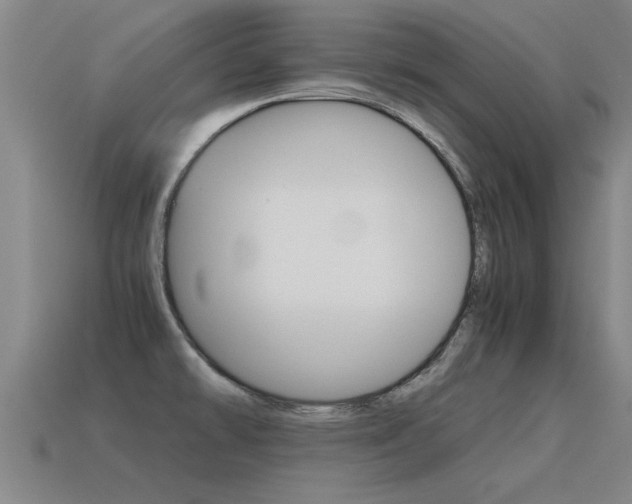X0000115641478200911101045