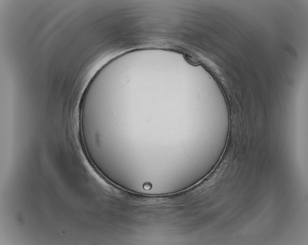X0000115641479200911101045