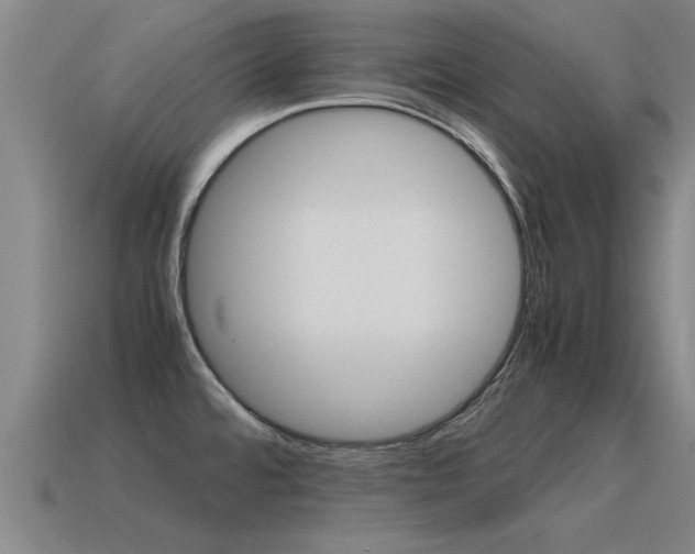 X0000115641480200911101045