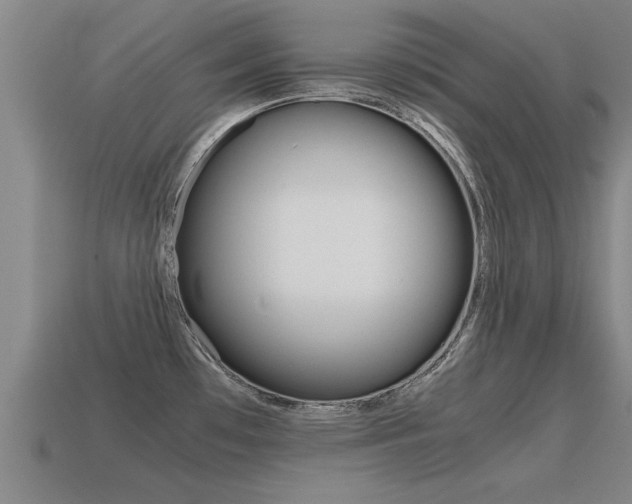 X0000115641481200911101045