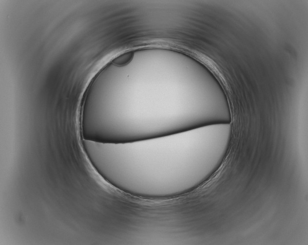 X0000115641482200911101045