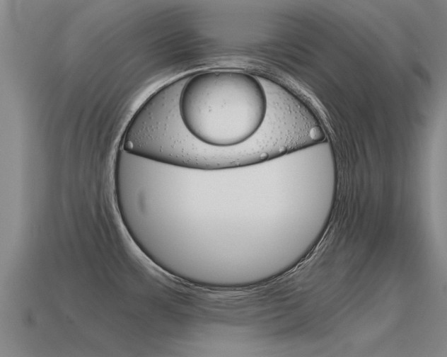 X0000115641483200911101045