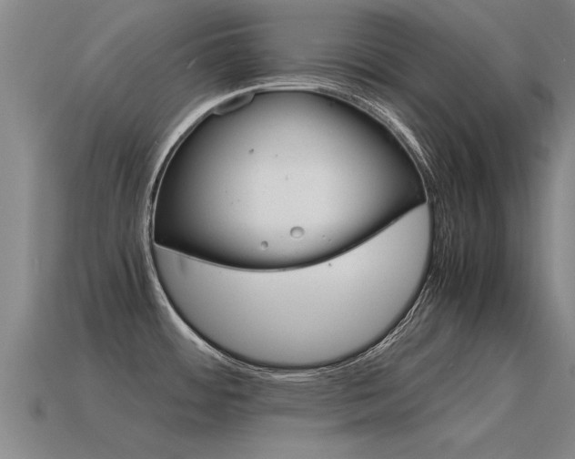X0000115641484200911101045