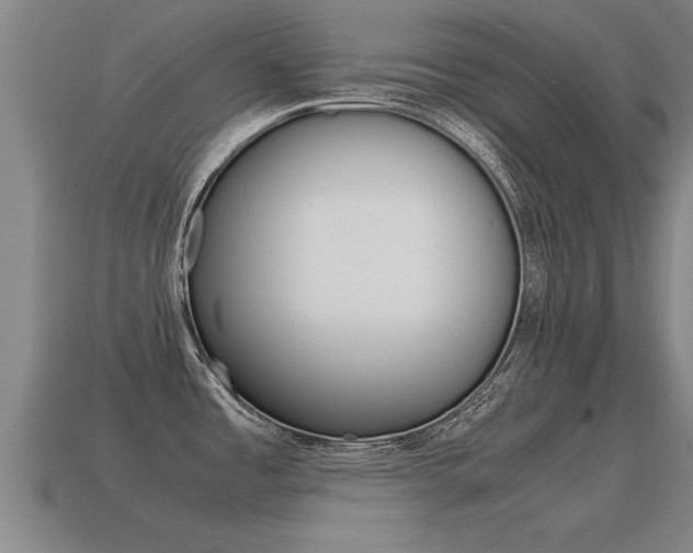 X0000115641485200911101045
