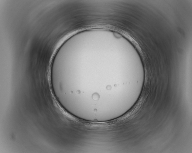 X0000115641486200911101045