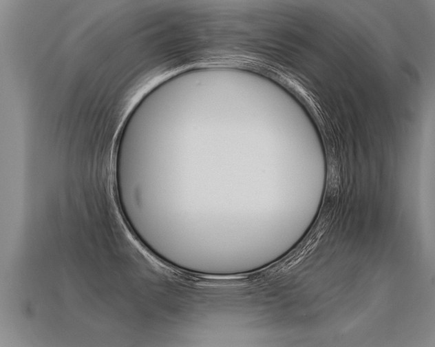 X0000115641487200911101045