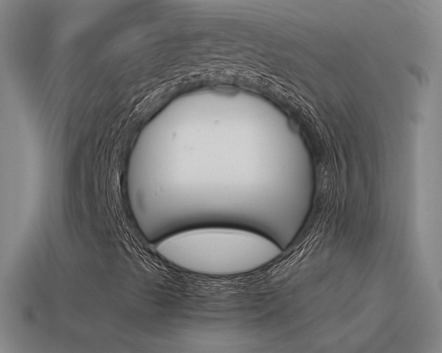 X0000115641489200911101045