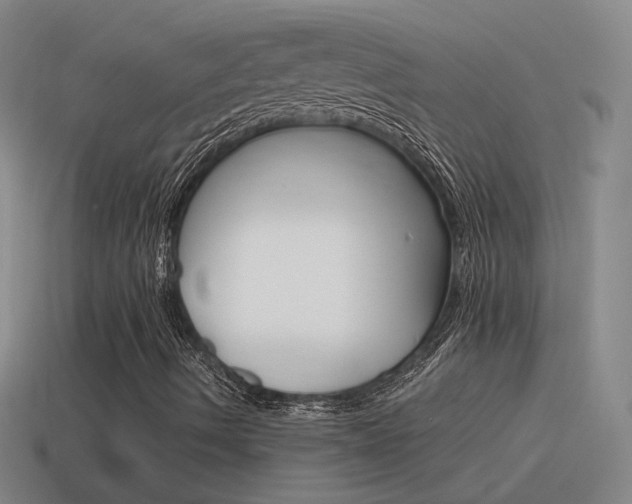 X0000115641490200911101045