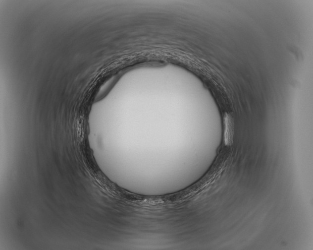 X0000115641491200911101045