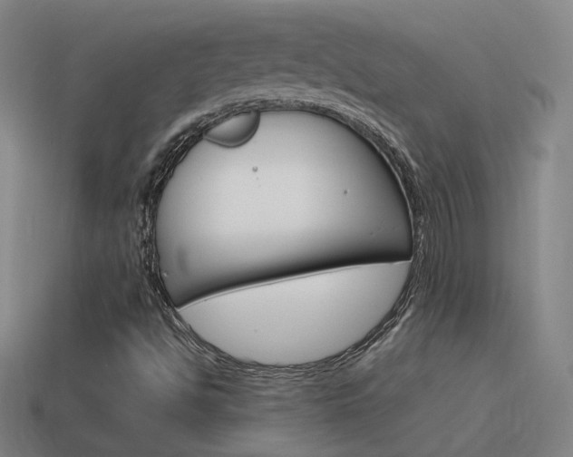 X0000115641494200911101045