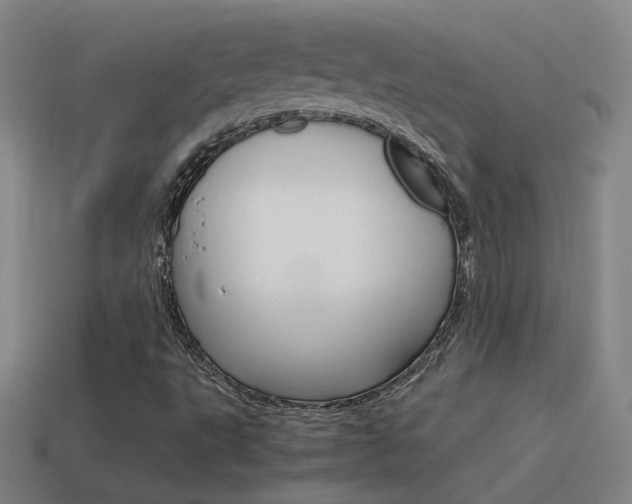 X0000115641495200911101045