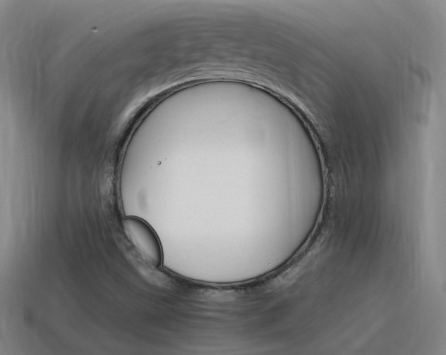 X0000115641499200911101045
