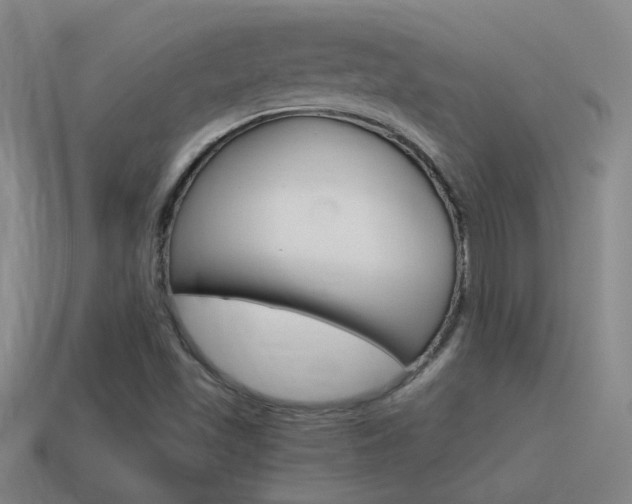 X0000115641501200911101045