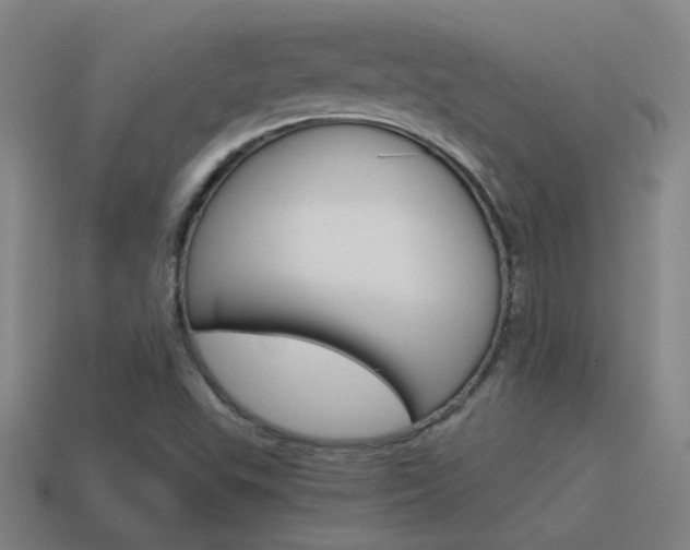 X0000115641503200911101045