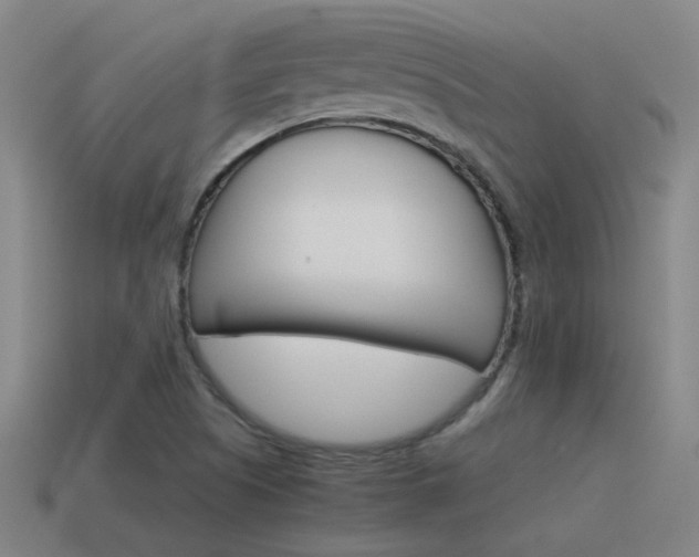 X0000115641505200911101045