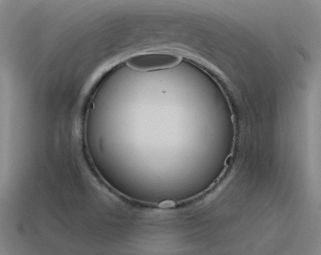 X0000115641506200911101045