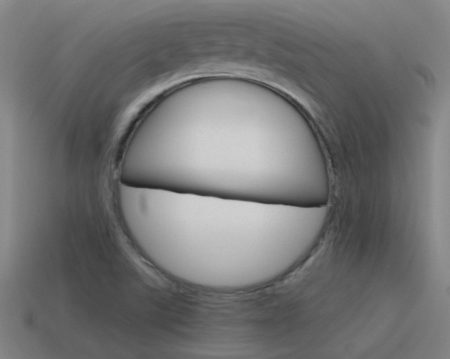 X0000115641507200911101045