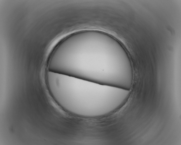 X0000115641511200911101045