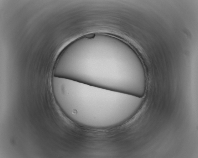 X0000115641513200911101045