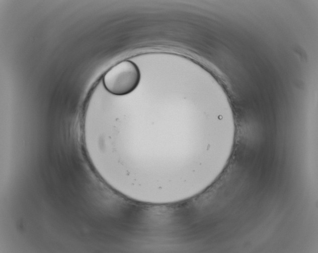 X0000115641514200911101045