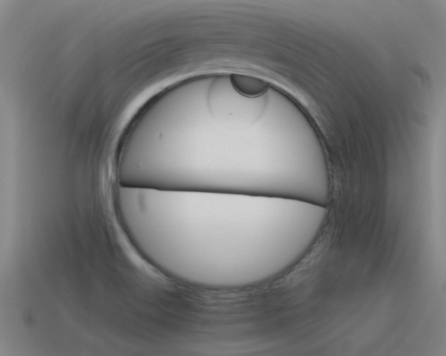 X0000115641515200911101045