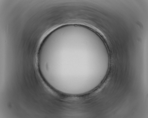 X0000115641517200911101045