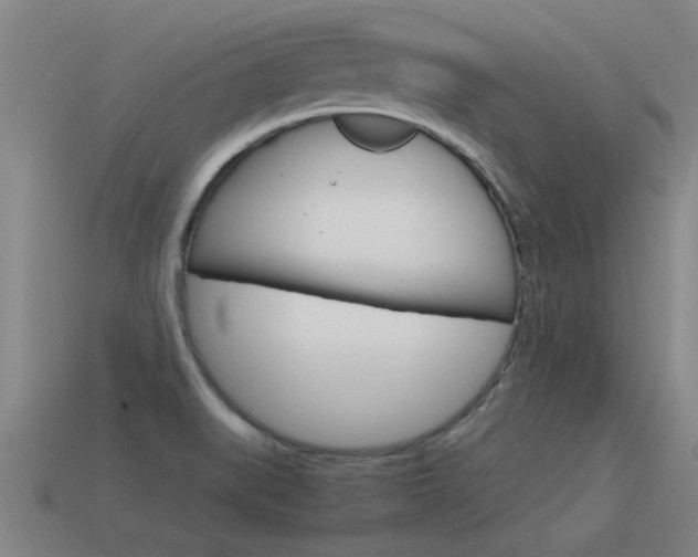 X0000115641519200911101045