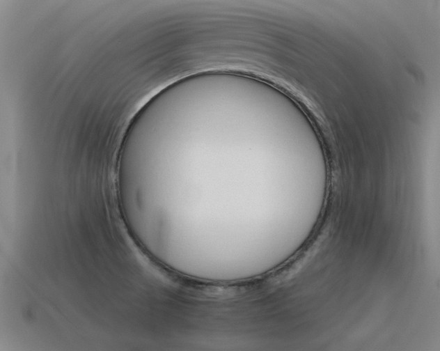X0000115641521200911101045