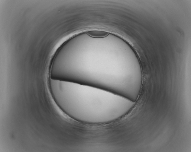 X0000115641523200911101045