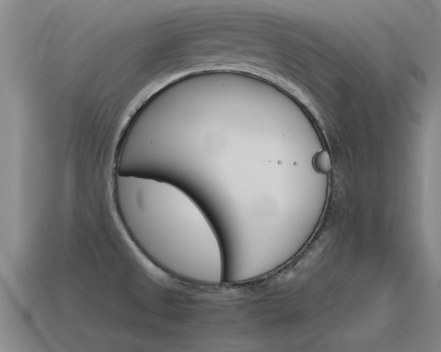 X0000115641525200911101045