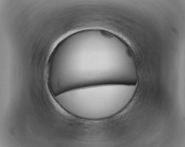 X0000115641526200911101045