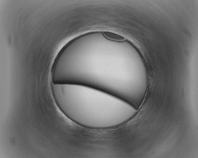 X0000115641527200911101045