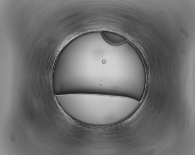 X0000115641529200911101045
