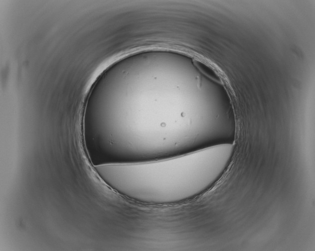X0000115641530200911101045