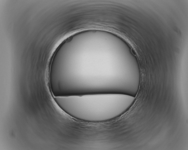 X0000115641531200911101045