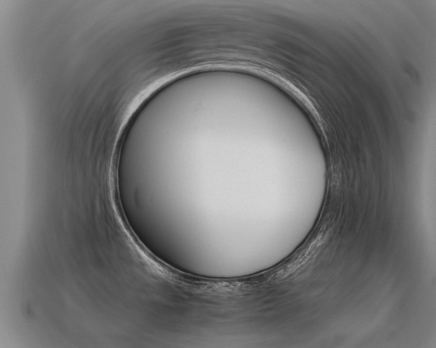 X0000115641533200911101045