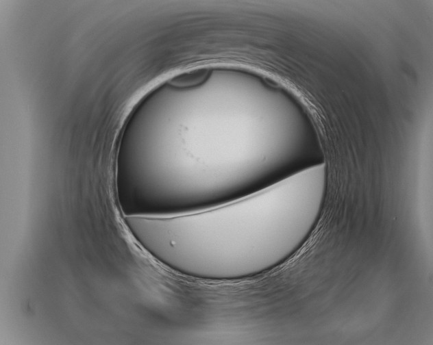 X0000115641534200911101045
