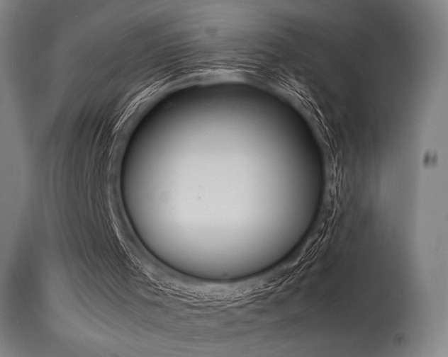 X0000115640001200911101527