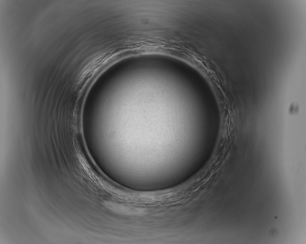 X0000115640002200911101527