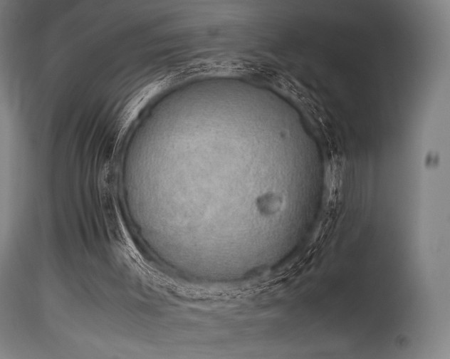 X0000115640003200911101527